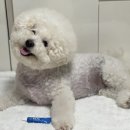 에이치바이오메디칼 이미지