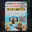 서해광고 - 부천시 원미구 | 수영일기 19. 촬영 가능한 수영장 '서해구국민체육센터' 자유수영 방문 후기