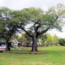 유당공원 이미지