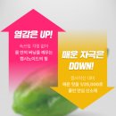 입터짐 심한 예신의 다이어트 보조템, 이너셀바이오 캡시번루틴 후기