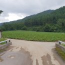 오토공인중개사사무소 이미지