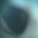 금천종합동물병원 이미지