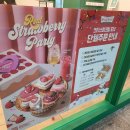 크리스피크림도너츠인천 | 크리스피크림 도넛 신상 딸기 에디션 후기 스트로베리 파티 더즌