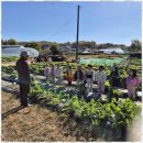 하늘땅어린이집 | 만수동어린이집 자연 속에서 자라는 아이들, 하늘땅어린이집 후기