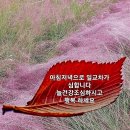 바닷가에서 이미지