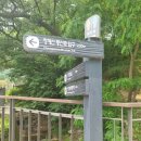 청계산 등산(청계산근린광장 공영주차장), 청계숲양대창 후기
