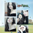 감자네일 Daum카페