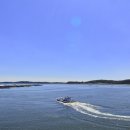 장고항바다 좌대낚시터 이미지