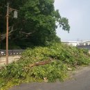 담덕기업 이미지