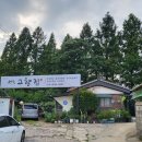 고향집 | 인천 백숙 맛집 고향집 장수동 오리백숙 닭백숙 보양식 후기