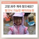 일가자 인력(파주점) | 파주 아이와 가볼 만한 곳, 헤이리 농원 다녀왔어요! 유아 계곡 물놀이로 만족했던 후기