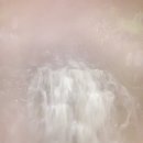 비밀의 숲속에서 팔월의 춤으로 살랑살랑 달을 맞이하자(08.21.~08.28.)