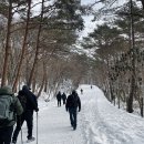 신둔 오름가마길 | 서귀포 한달살이*한 겨울의 윗세오름(감사 310)