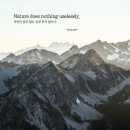 오늘의 &#39;영어 명언&#39;(175강) 아리스토텔레스(Aristotle) 이미지