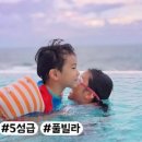 스타스케이프 이미지