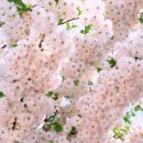 허브인허브 이미지