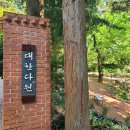 숲속의아침(선유원) 이미지