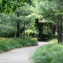 산책길