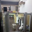 넘버원트리머 이미지