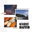 서민한의원 | 13+14. K리그⚽️도 열심히 다니고 새로운 알콜🥂+벚꽃🌸도 열심히 찾아다니는 부지런한 일상 모음