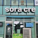 수퍼캐롯 | 성남 파충류샵｜크레스티드 게코 도마뱀 분양 소라크레 후기