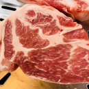 돈가맛돼지 이미지