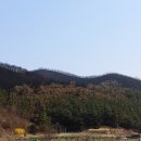 의성(영덕) 이미지