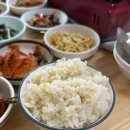 승화실비타운식당 | 백반 맛집 실비타운 8천원에 24가지 반찬이 나오는 노포