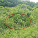 연천군양원리보건진료소 이미지