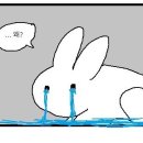 앨리스 이미지
