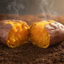 베니실제 | 해남 꿀고구마 베니하루카·황금호박고구마 후기｜에어프라이어 20분 레시피 포함