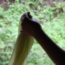 염색창고