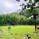 모니카애견 이미지