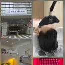 리포즈에스테틱