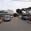 일번지청과