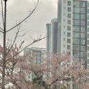 리안건축 | 울산 인테리어 가성비 업체추천 리안건축디자인 (시공전) 도배.시스템에어컨.부분공사 견적후기