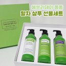 지티지바이오 | 에브리데이폼폼 말차 샴푸 헤어컨디셔너 바디클렌저 선물세트 추천