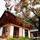 자연을벗삼아