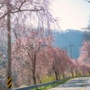 임불보건진료소 화장실 이미지