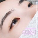 양덕동465 | 마산 양덕동 속눈썹펌 뷰티율이 속눈썹펌 주기 및 주의사항