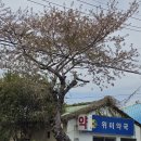 위미약국 네이버블로그
