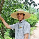 유룡리농장 이미지