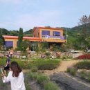 사라실 라벤더 단지 이미지