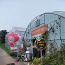 경주부화장 이미지