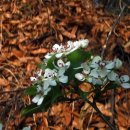 문배농장 이미지