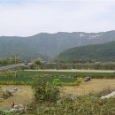 송백다방 - 밀양시 산내로 343 | 송백다방