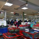 속초관광수산시장(지하) 이미지