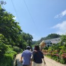 김성훈농장 | [대산농업리더장학생] 대한민국 농업 문명의 전환점: 로뎀농원