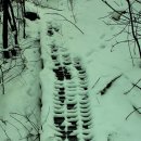 우장산근린공원 이미지