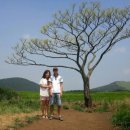 푸른솔목장 이미지